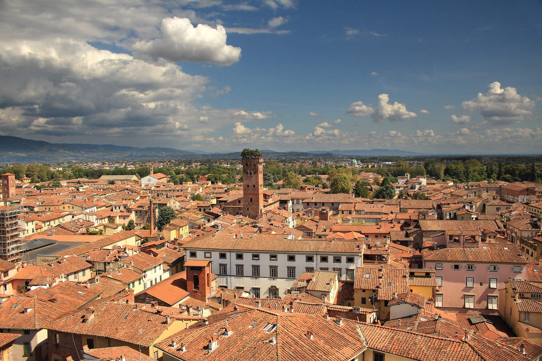Vue de Lucques avec la tour Guinigi Vue de Lucques avec la tour Guinigi