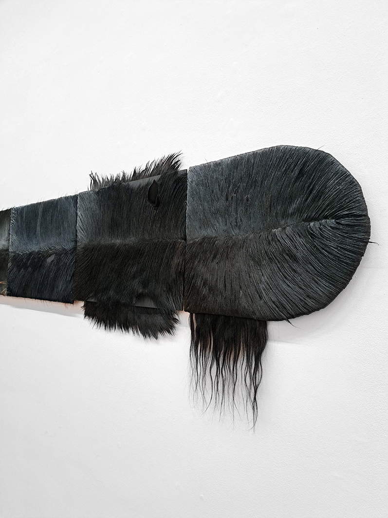 Chiara Lecca, Black Caterpillar (2024; pelli di capra, colore ad olio, legno, fimo). Foto: Lucrezia Roda. Chiara Lecca, Black Caterpillar (2024; pelli di capra, colore ad olio, legno, fimo). Foto: Lucrezia Roda.