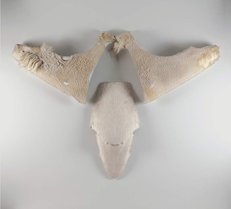 Chiara Lecca, Fenders (Frontale #5) (2016; parabrezza, parafanghi, pelli ovine). Foto: Olimpia Lalli. Chiara Lecca, Fenders (Frontale #5) (2016; parabrezza, parafanghi, pelli ovine). Foto: Olimpia Lalli.