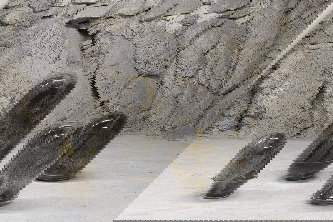 Chiara Lecca, Masks (2016; vetro, lembi di pelli di cinghiale). Veduta dell’installazione, Monitor Pereto. Foto: Giorgio Benni. Chiara Lecca, Masks (2016; vetro, lembi di pelli di cinghiale). Veduta dell’installazione, Monitor Pereto. Foto: Giorgio Benni.