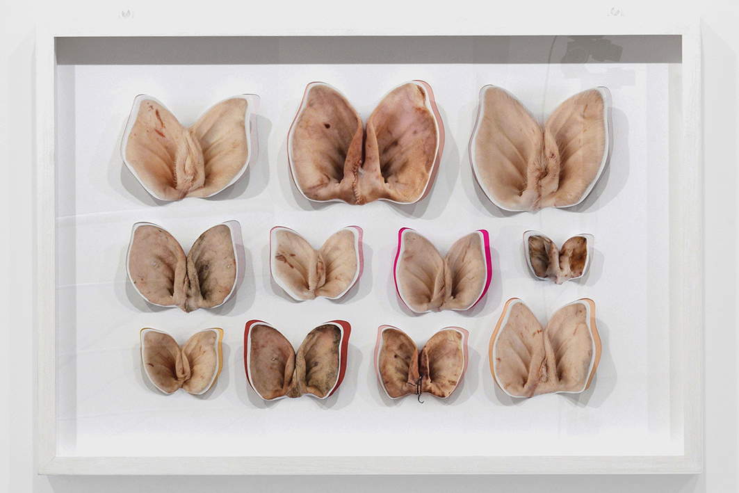 Chiara Lecca, Moths and Butterflies (2008; stampa a getto d’inchiostro su carta cotone Hahnemuhle, carta, stoffa, cartoncino) Chiara Lecca, Moths and Butterflies (2008; stampa a getto d’inchiostro su carta cotone Hahnemuhle, carta, stoffa, cartoncino)