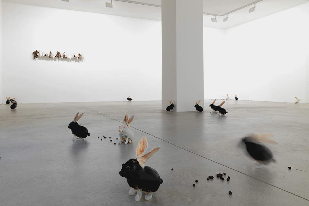 Chiara Lecca, Rabbits Corporation (2005; tassidermia, PVC, movimento a batteria, sterco, pelliccia sintetica). Veduta dell’installazione, Galleria Fumagalli, Bergamo (2008). Chiara Lecca, Rabbits Corporation (2005; tassidermia, PVC, movimento a batteria, sterco, pelliccia sintetica). Veduta dell’installazione, Galleria Fumagalli, Bergamo (2008).