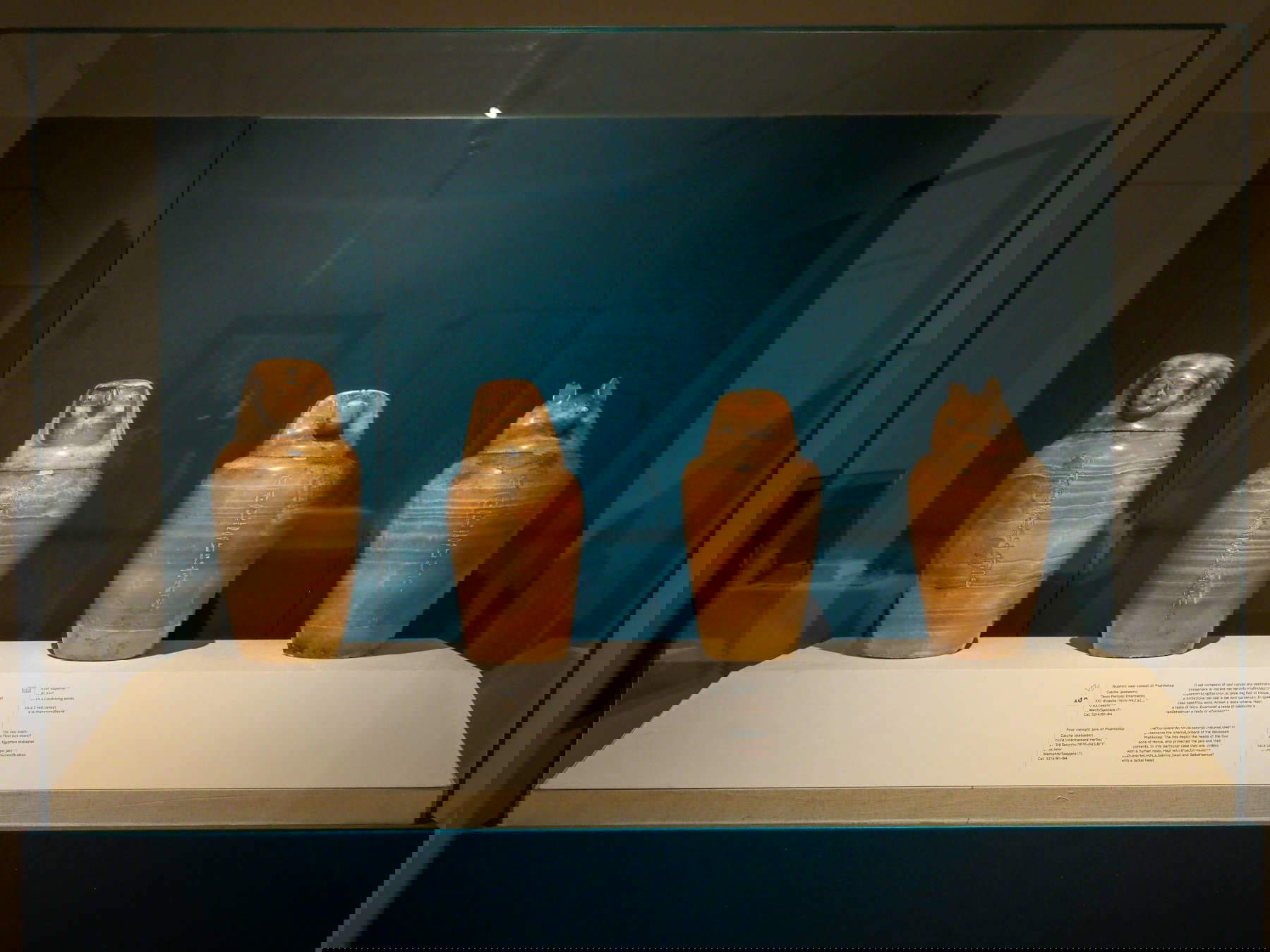Ausstellungsaufbau Die Ägypter und die Geschenke des Nils, Fortino Leopoldo I, Forte dei Marmi, 2024. Foto: Barbara Cardini Ausstellungsaufbau Die Ägypter und die Geschenke des Nils, Fortino Leopoldo I, Forte dei Marmi, 2024. Foto: Barbara Cardini