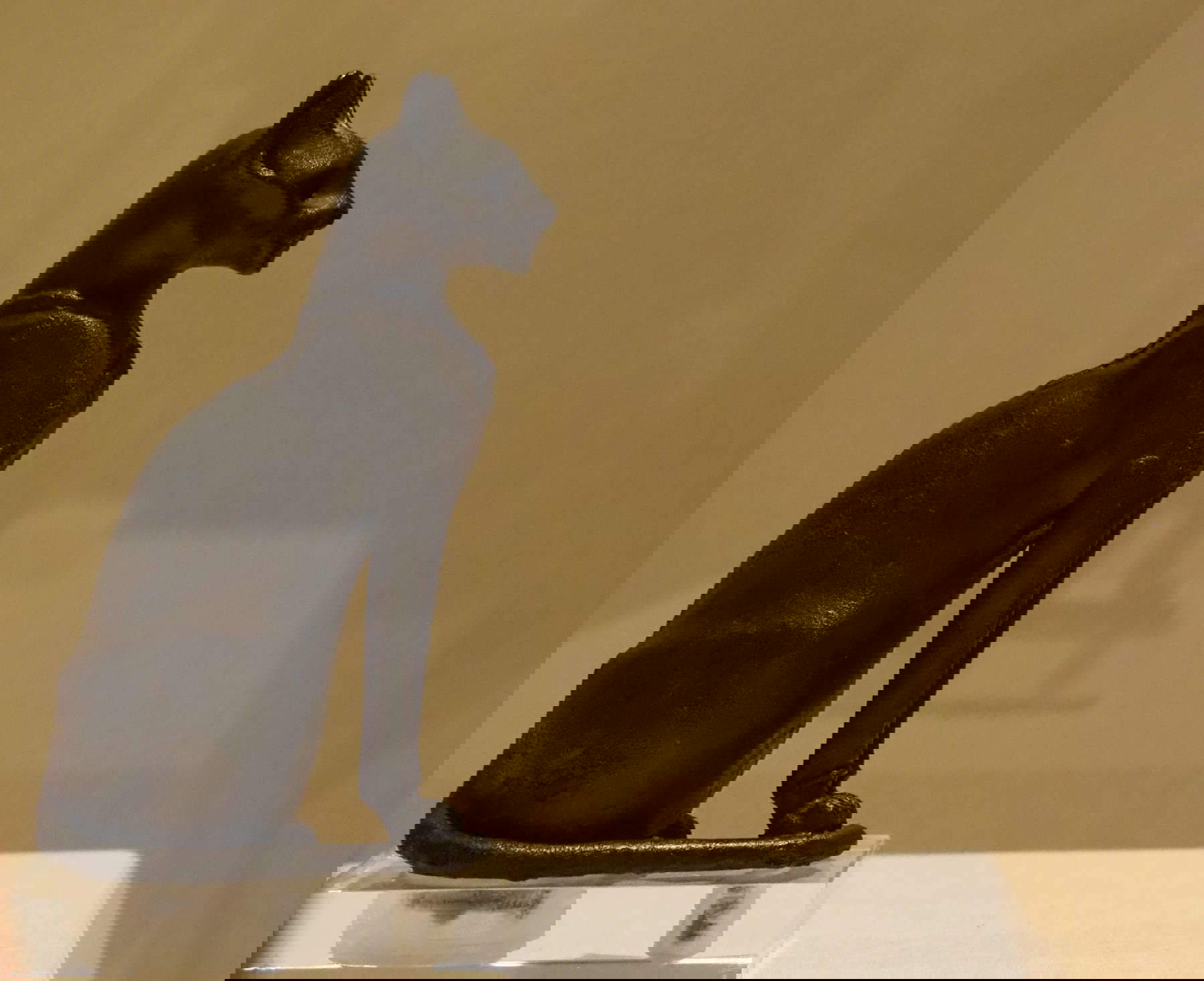 Ausstellungsaufbau Die Ägypter und die Geschenke des Nils, Fortino Leopoldo I, Forte dei Marmi, 2024. Foto: Barbara Cardini Ausstellungsaufbau Die Ägypter und die Geschenke des Nils, Fortino Leopoldo I, Forte dei Marmi, 2024. Foto: Barbara Cardini