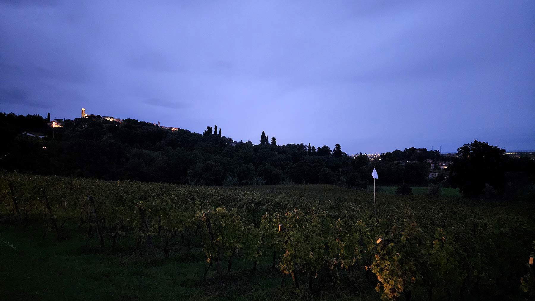 Luca Bertolo, Bandiera Bianca (2024) Luca Bertolo, Bandiera Bianca (2024)