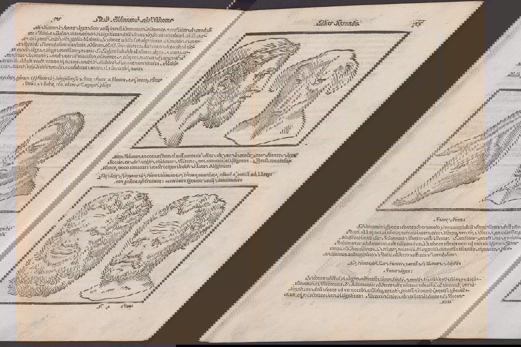 Giovanni Battista della Porta, Fisiognomica dell'uomo (1586 [1644])