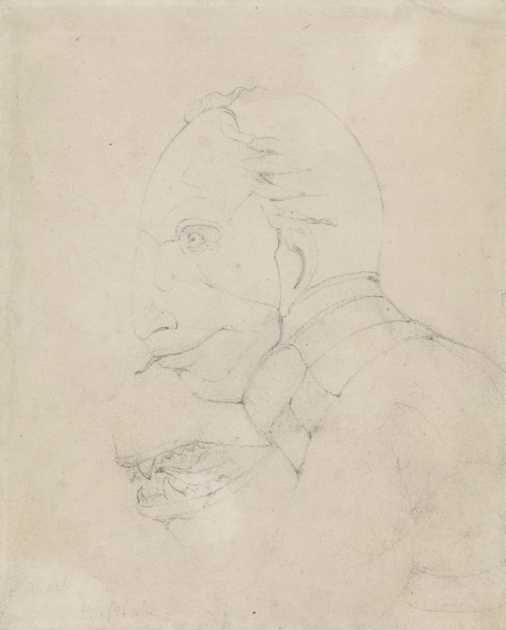 William Blake, Testa visionaria del fantasma di una pulce (1819 circa; matita su carta, 189 x 153 mm; Londra, Tate) William Blake, Testa visionaria del fantasma di una pulce (1819 circa; matita su carta, 189 x 153 mm; Londra, Tate)