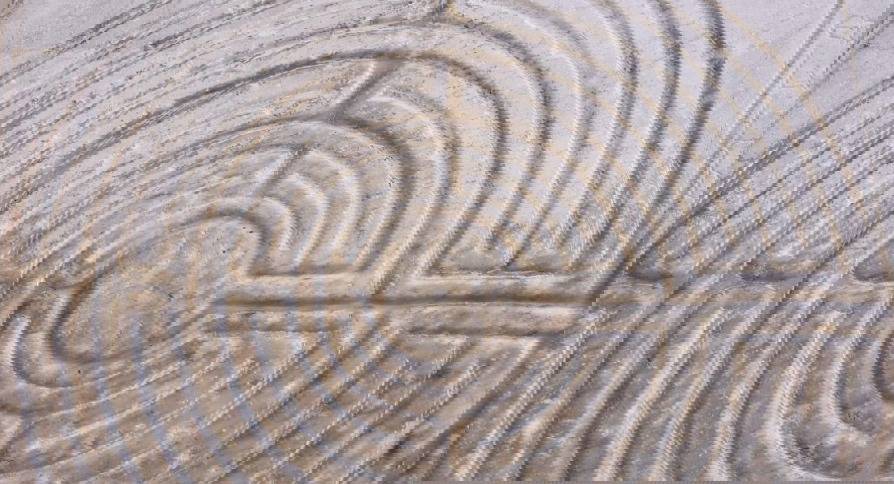 Détail du labyrinthe. Photo : Alessandro Pasquali / Projet Danae