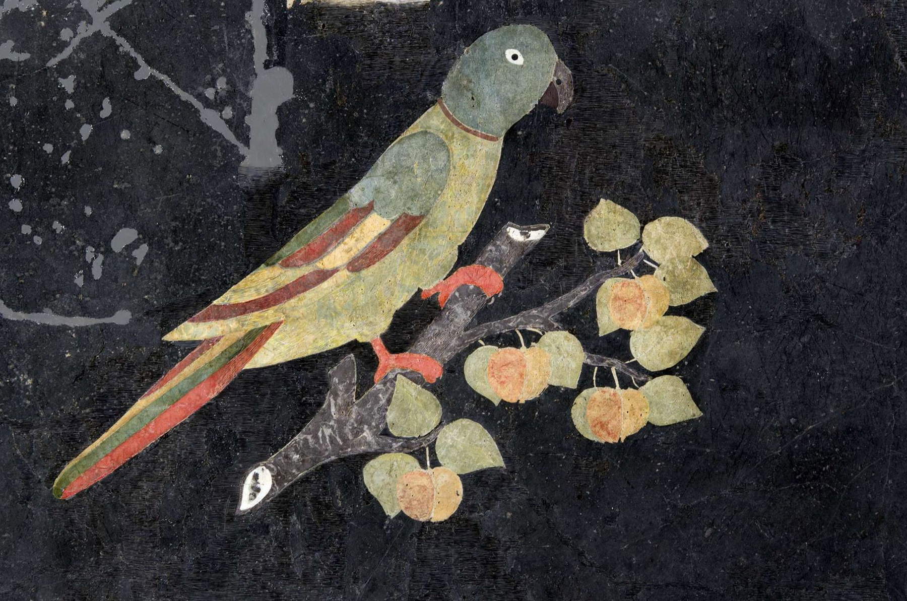 Détail d'un plateau de table en scagliola (fin XVIIe-début XVIIIe siècle ; plâtre, colle et pigments, mortier, roseau, cadre en bois, 79 x 147 cm ; Arezzo, Museo Archeologico Nazionale). Photo : Opificio delle Pietre Dure Détail d'un plateau de table en scagliola (fin XVIIe-début XVIIIe siècle ; plâtre, colle et pigments, mortier, roseau, cadre en bois, 79 x 147 cm ; Arezzo, Museo Archeologico Nazionale). Photo : Opificio delle Pietre Dure