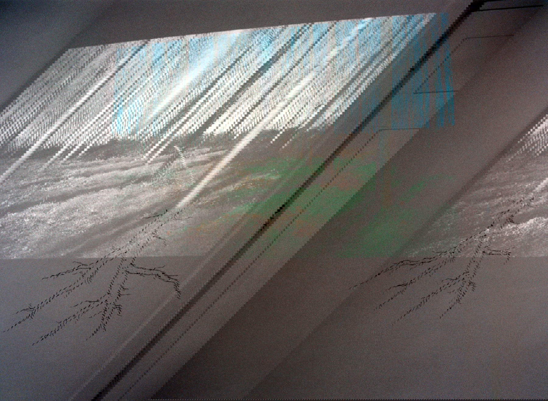 Daniele Bacci, Sin título (2003, proyección y acrílico sobre pared). Instalación en la Galería T293, Nápoles