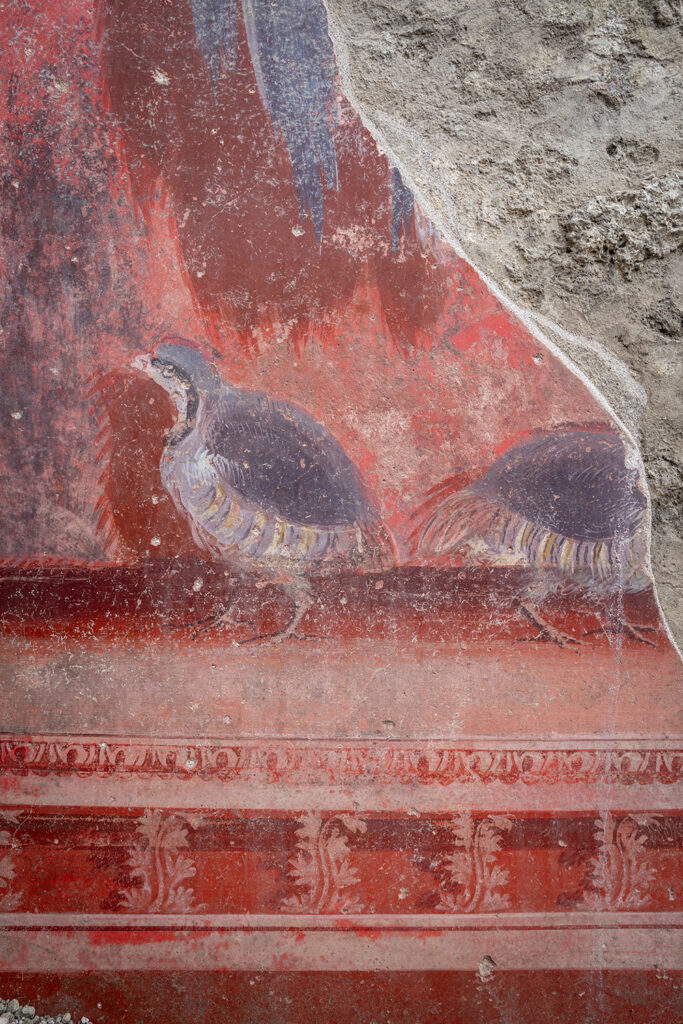 New frescoes discovered in Pompeii New frescoes discovered in Pompeii