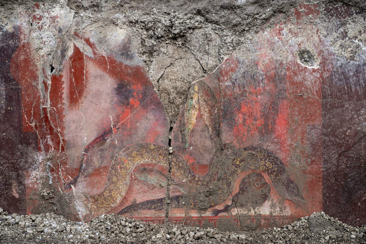 New frescoes discovered in Pompeii New frescoes discovered in Pompeii