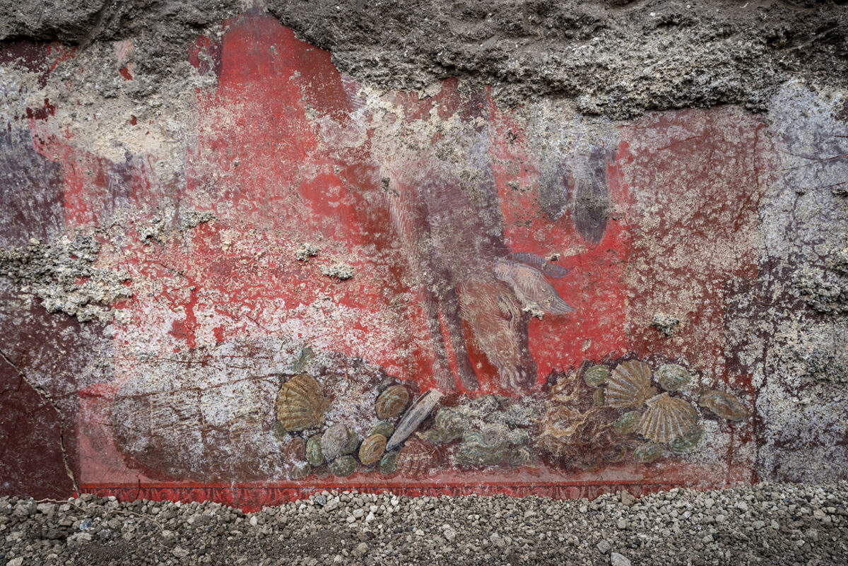 New frescoes discovered in Pompeii New frescoes discovered in Pompeii