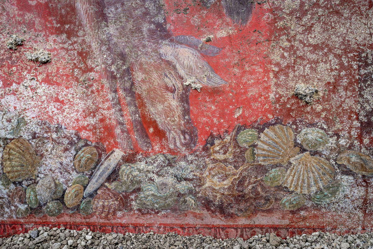 New frescoes discovered in Pompeii New frescoes discovered in Pompeii