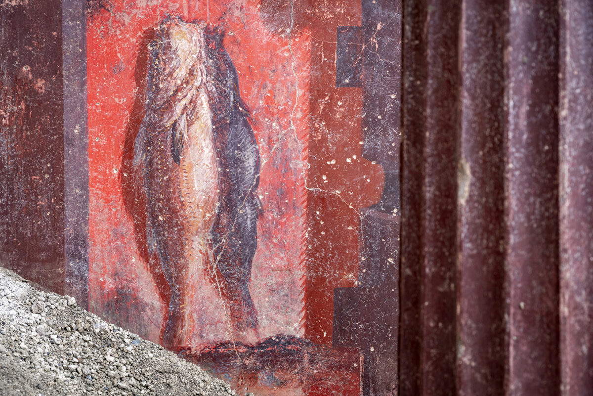 New frescoes discovered in Pompeii New frescoes discovered in Pompeii