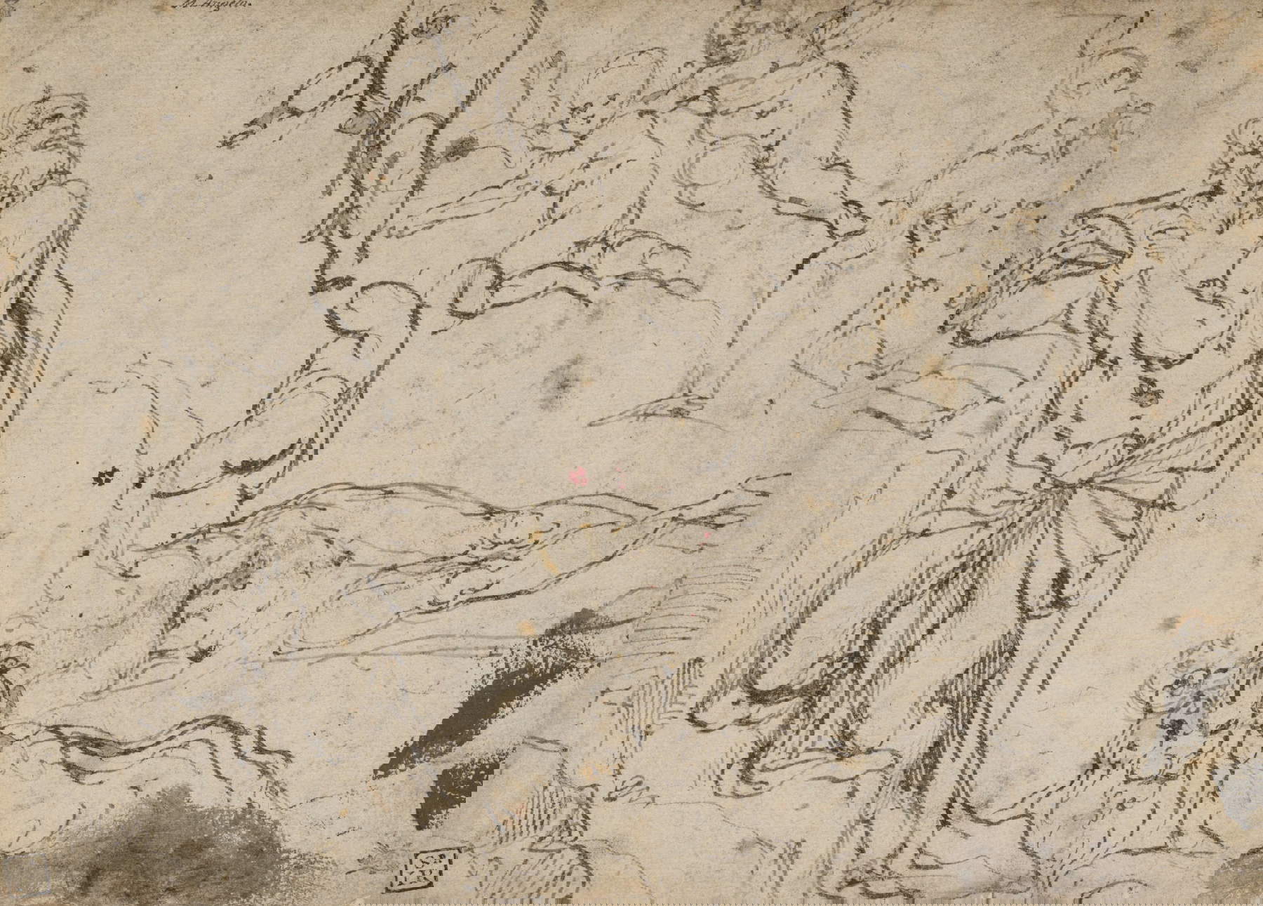 Agostino Carracci, Études pour Saint Jérôme et le Lion (plume, 196 x 271 mm) Agostino Carracci, Études pour Saint Jérôme et le Lion (plume, 196 x 271 mm)