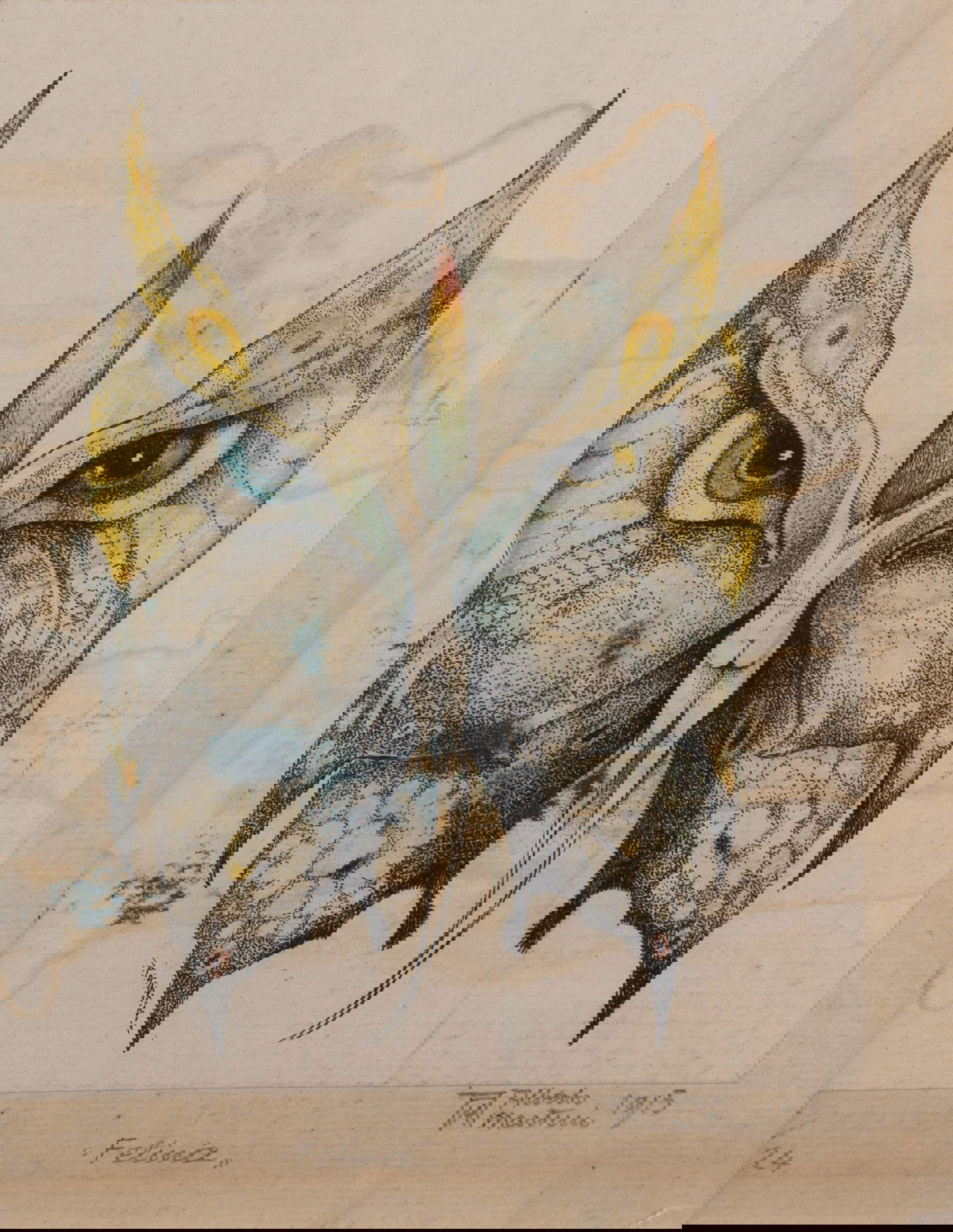 Alberto Martini, Farfalle (Felina) (1915; litografía en blanco y negro; Oderzo, Fondazione Oderzo Cultura) Alberto Martini, Farfalle (Felina) (1915; litografía en blanco y negro; Oderzo, Fondazione Oderzo Cultura)