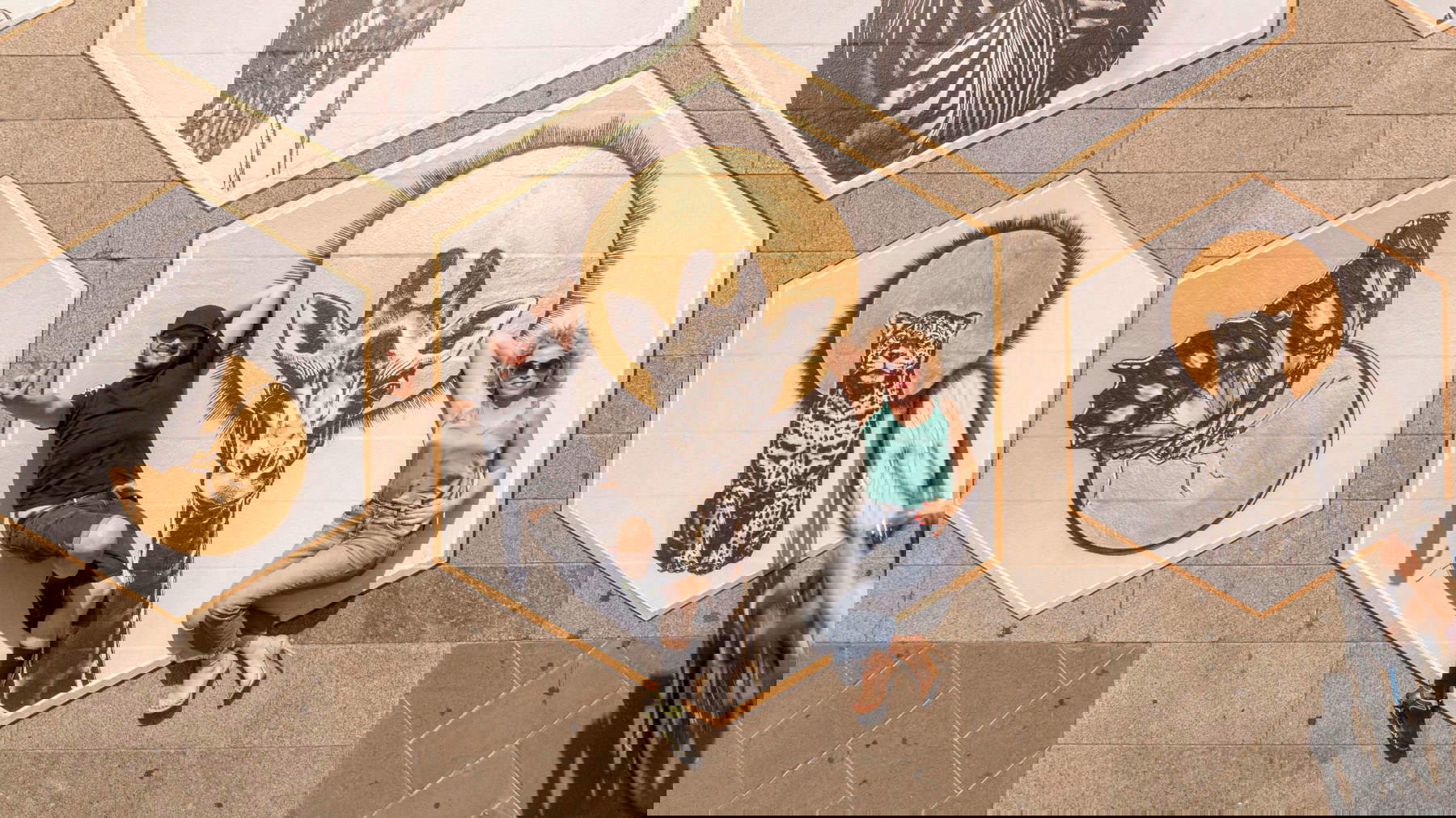 Angelo Cruciani, Bestiaire