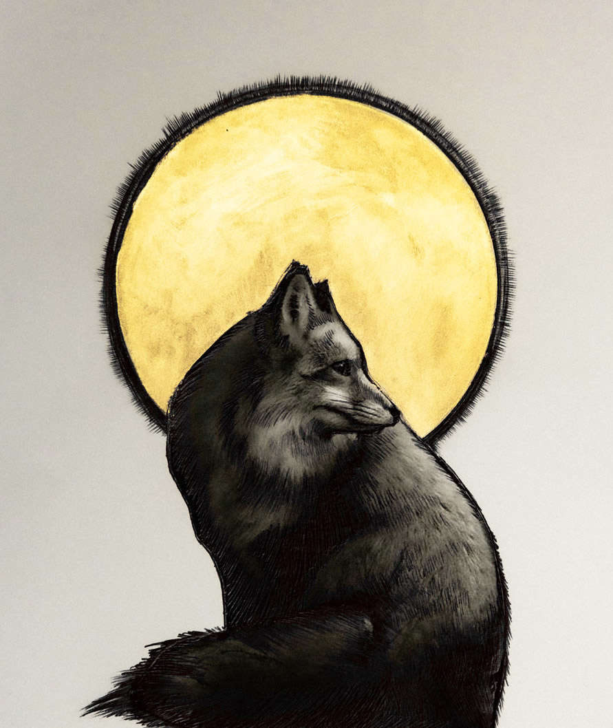 Angelo Cruciani, Bestiaire