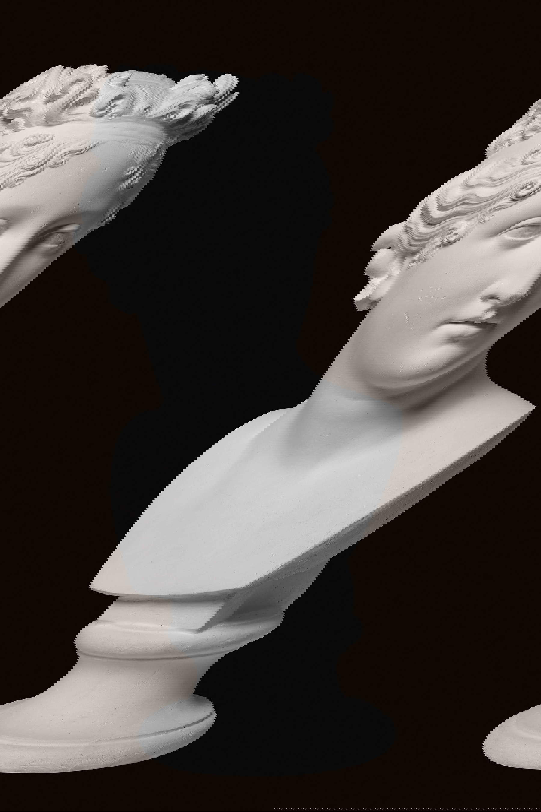 Antonio Canova, Ritratto di Paolina Borghese