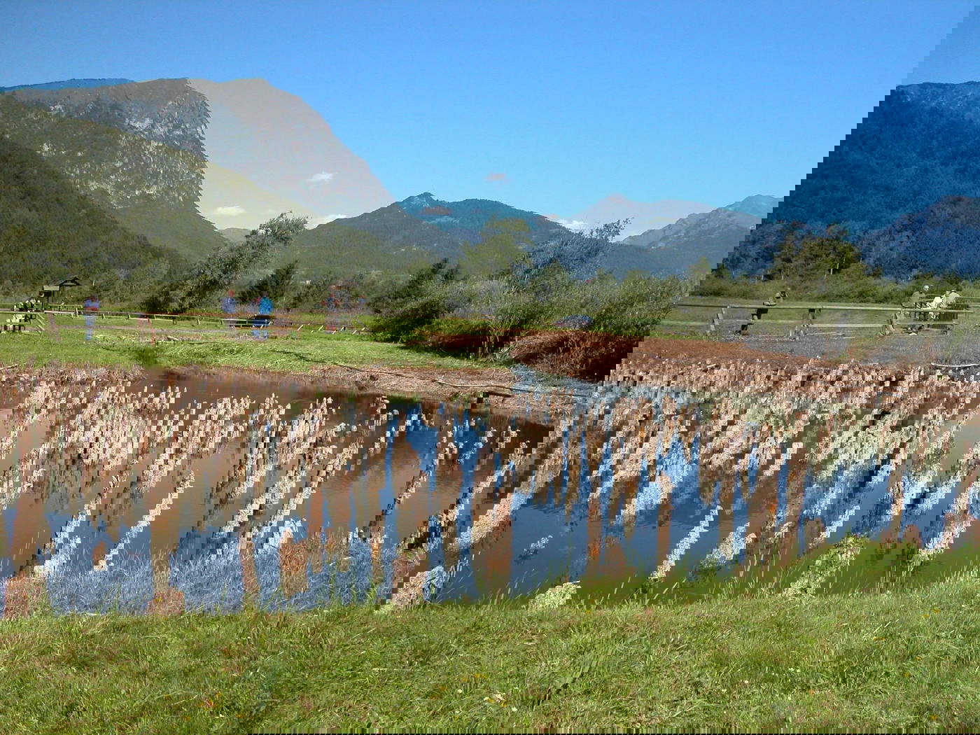 Site archéologique de Palafitte di Fiavé. Bureau des archives pour le patrimoine archéologique Province autonome de Trente