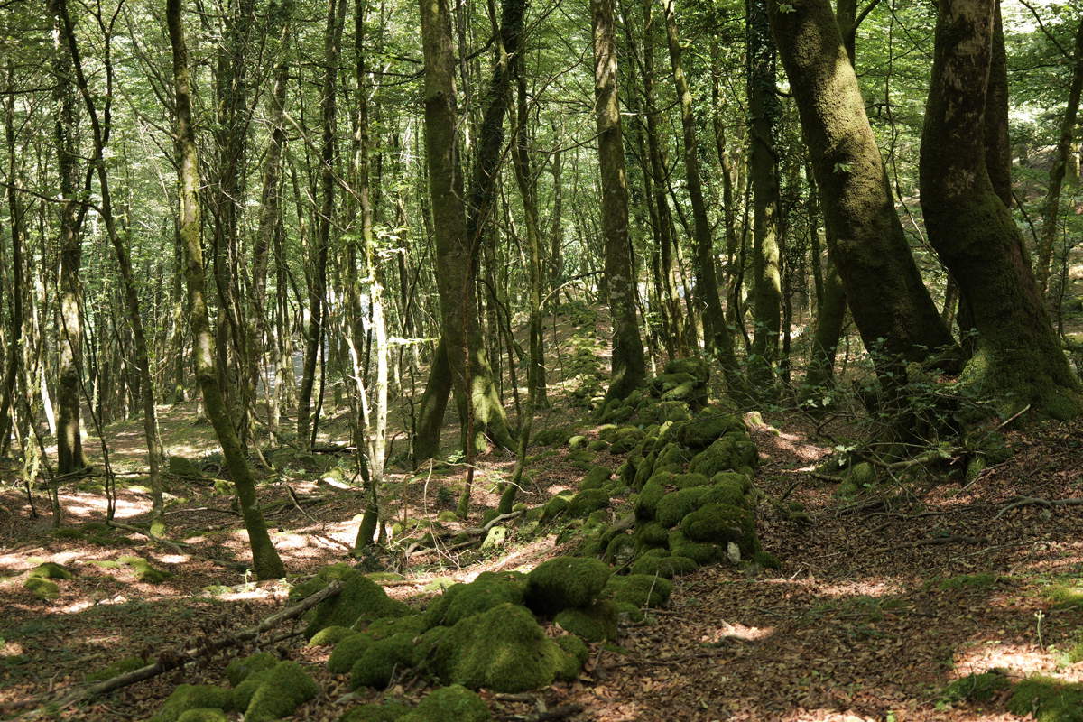 Aspromonte, discovered wall structure possibly built to trap Spartacus and his army 