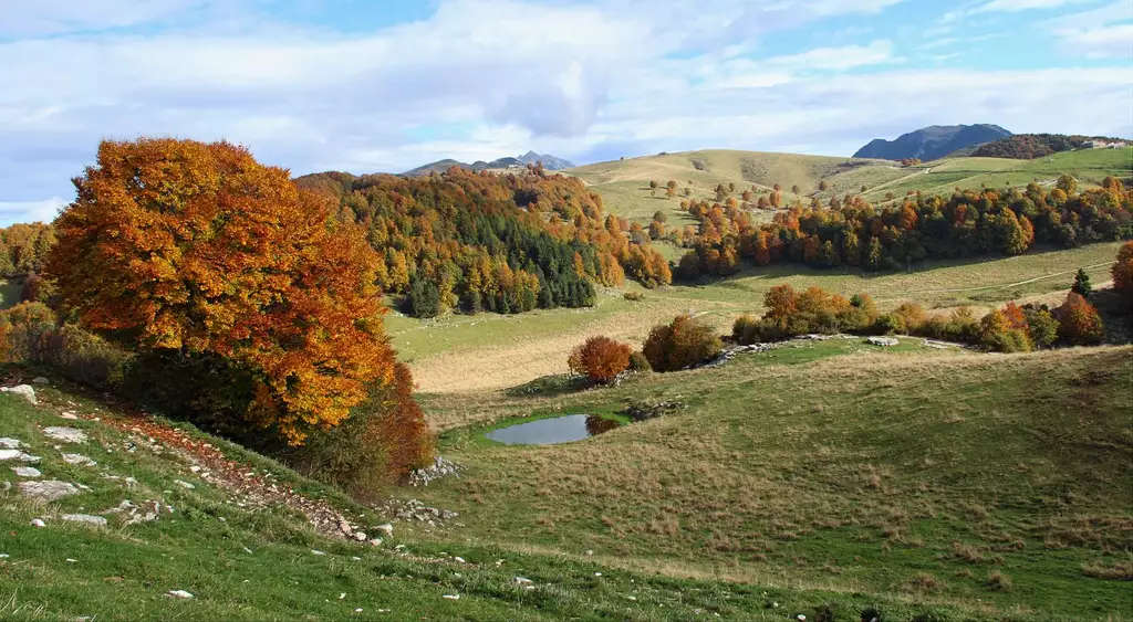 Autunno in alta Lessina. Foto: Destination Verona & Garda Foundation Autunno in alta Lessina. Foto: Destination Verona & Garda Foundation