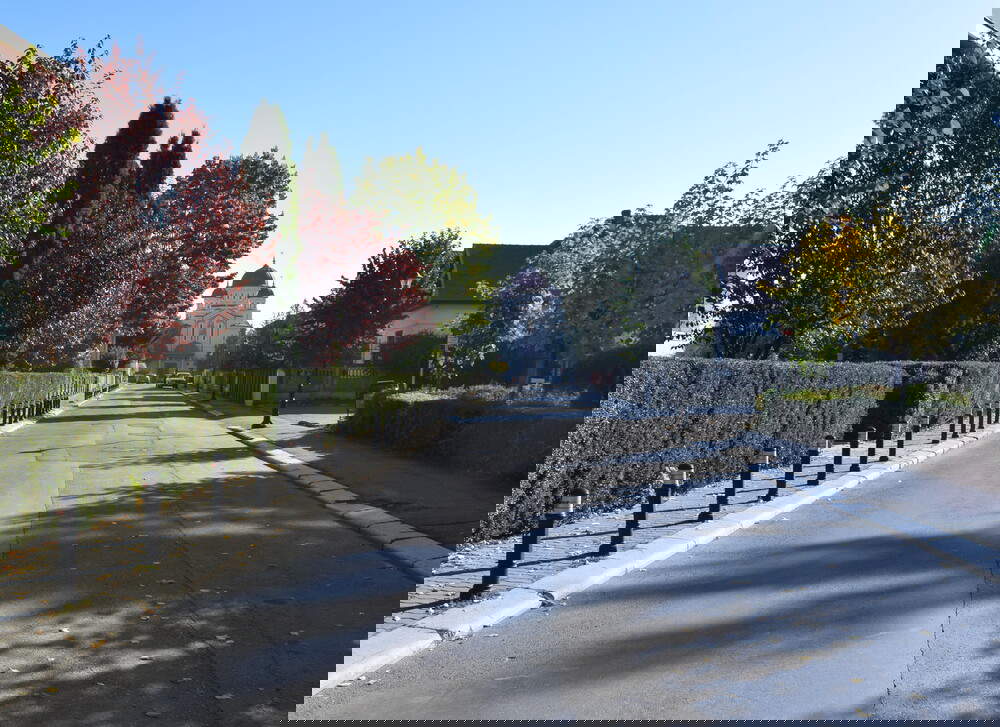 Il viale degli eroi Il viale degli eroi