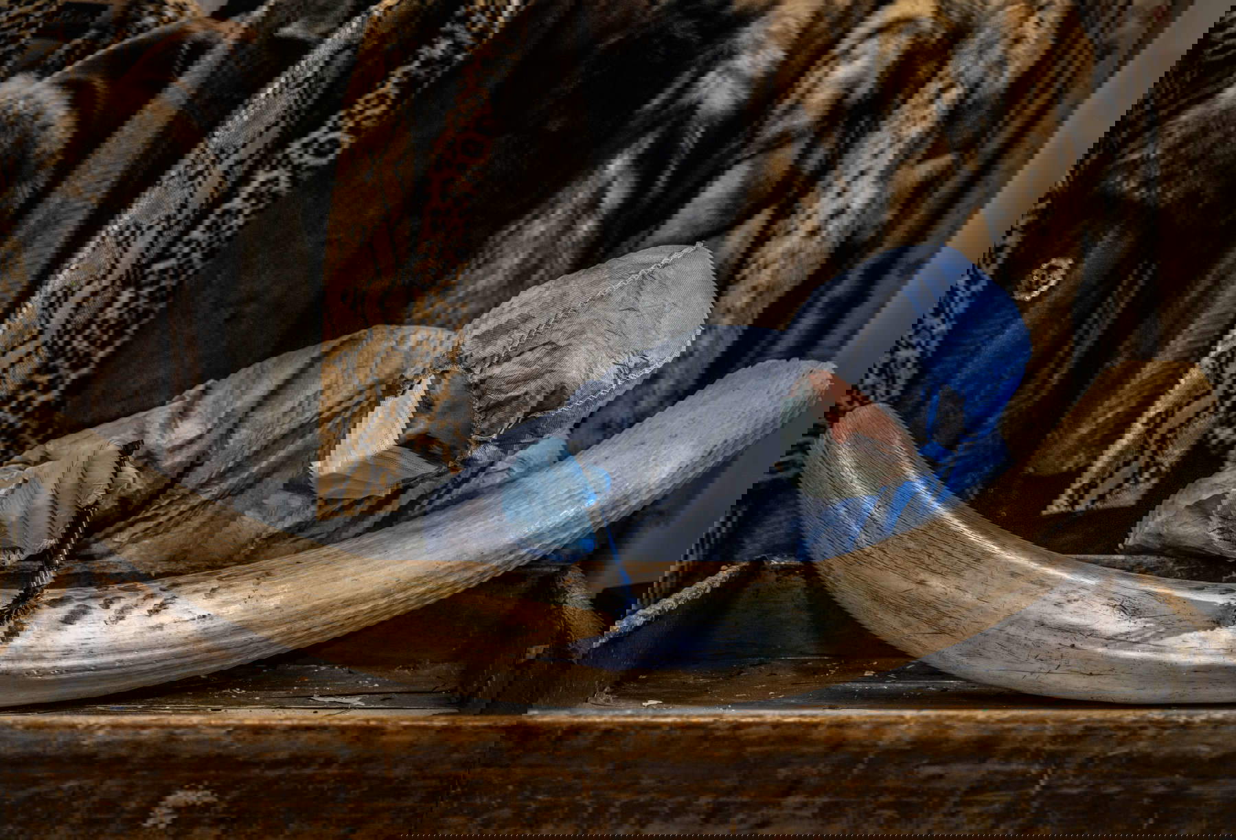 Britta Jaschinski (Germania/Regno Unito), Spolverare per trovare nuove prove, Vincitore categoria Fotogiornalismo / Wildlife Photographer of the Year