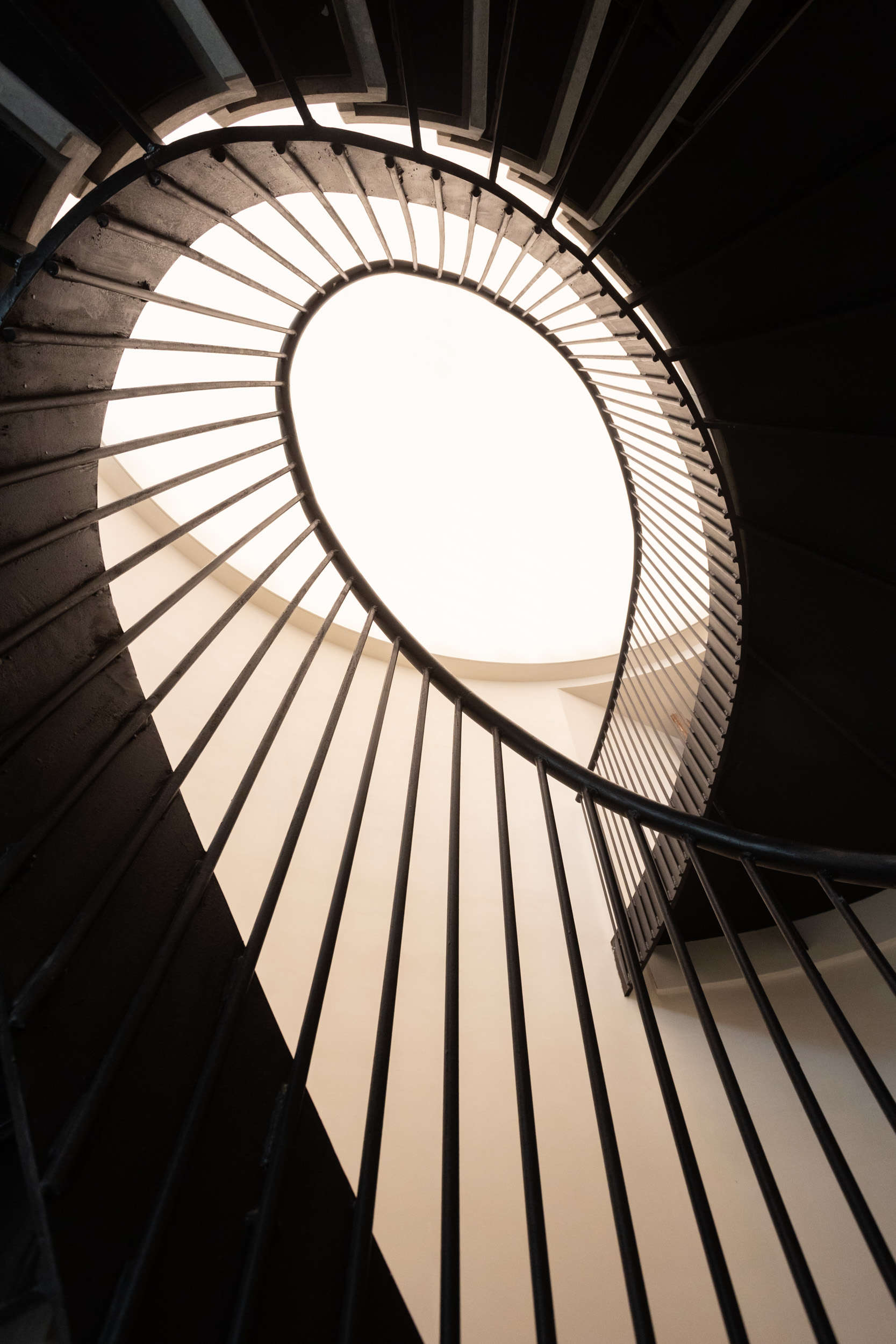 Carsten Höller, Oval staircase. Photo: Massimo Pistore, courtesy of Berggruen Arts and Culture. Carsten Höller, Oval staircase. Photo: Massimo Pistore, courtesy of Berggruen Arts and Culture.