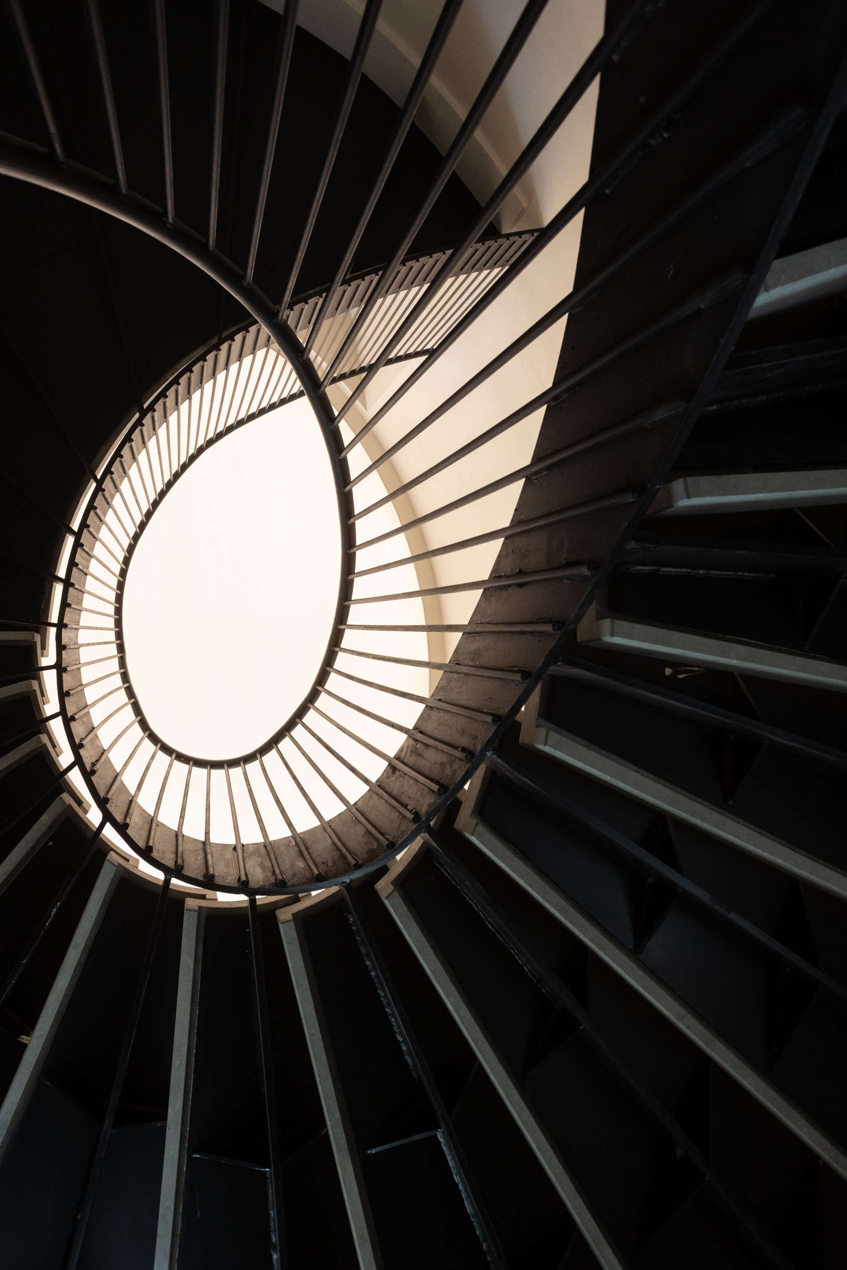 Carsten Höller, Oval staircase. Photo: Massimo Pistore, courtesy of Berggruen Arts and Culture. Carsten Höller, Oval staircase. Photo: Massimo Pistore, courtesy of Berggruen Arts and Culture.