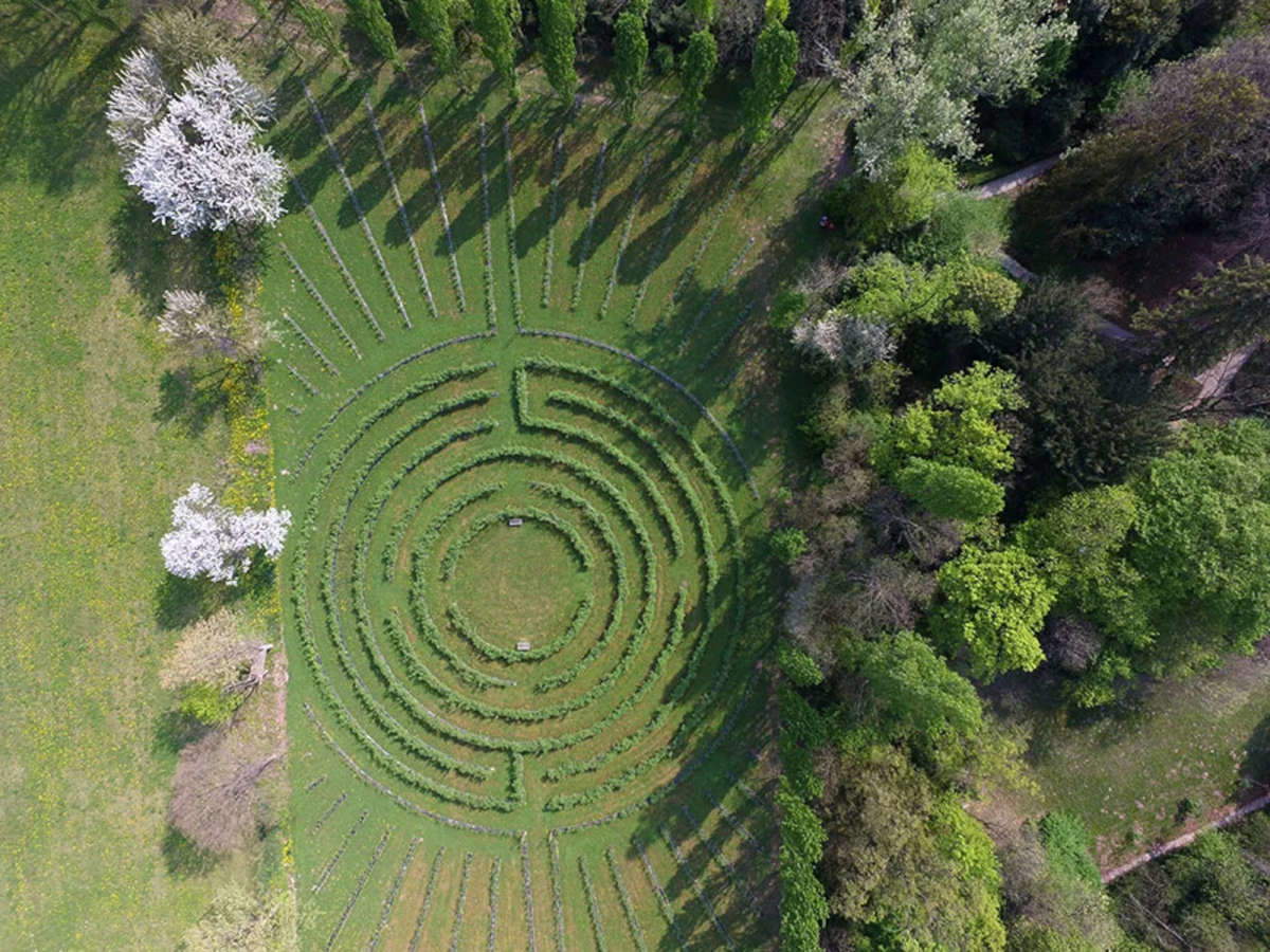 Das Labyrinth der Burg von Cordovado, wo man im Duft der Rosen spazieren gehen kann