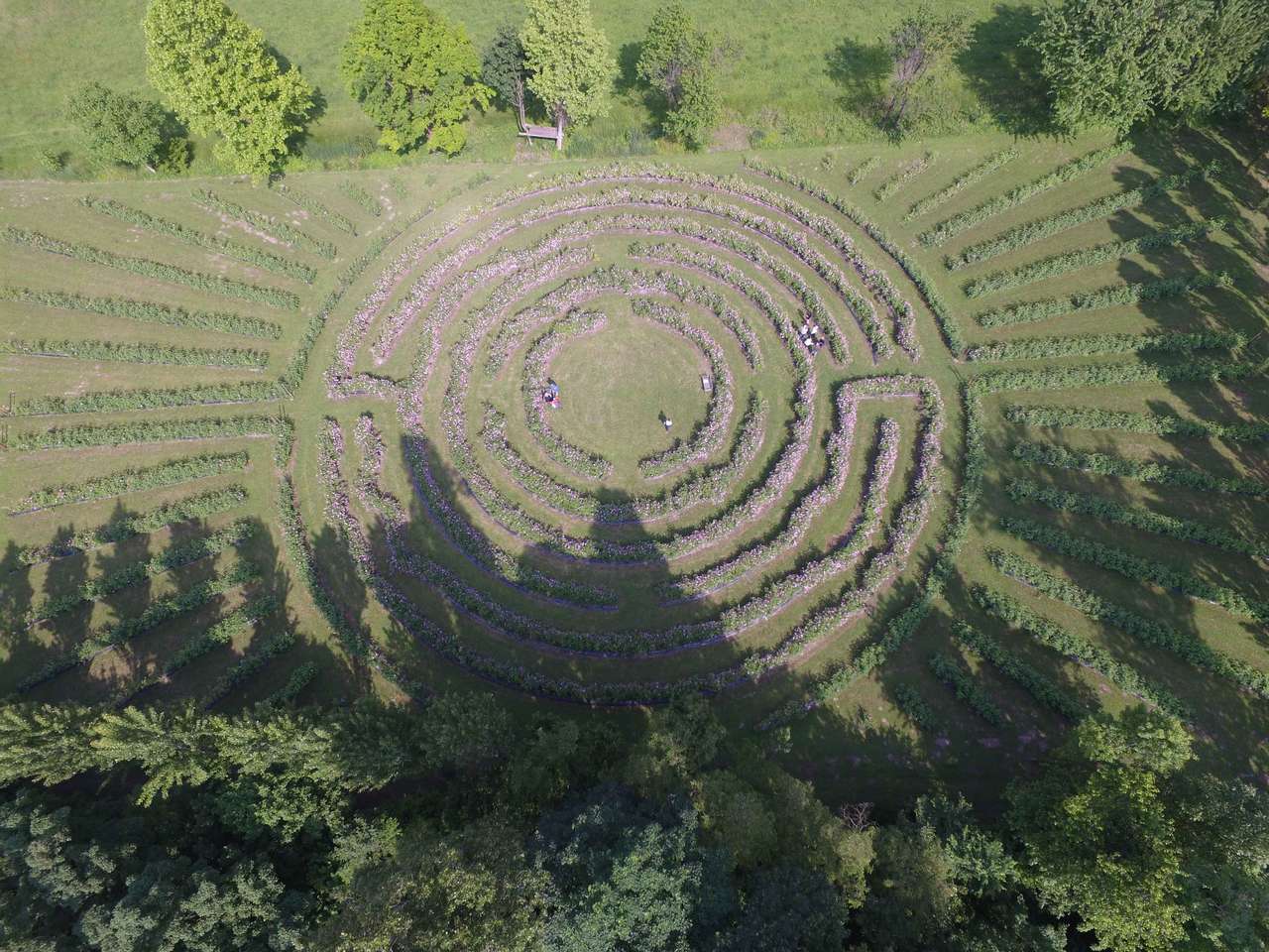 The labyrinth. Photo: Paolo Sgartavatti/Grandi Giardini Italiani