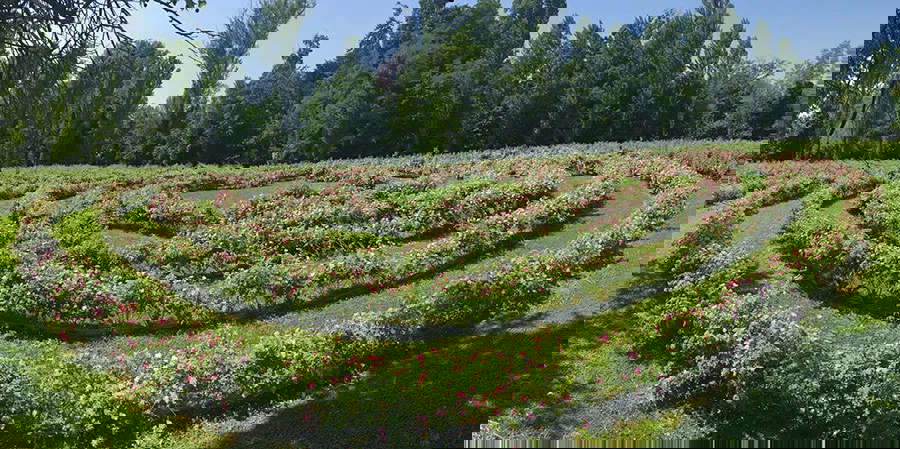 The labyrinth. Photo: Cordovado Castle