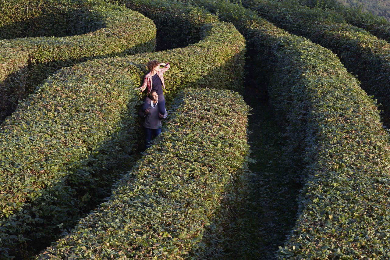 Labirinto del Schloss Masino. Foto: FAI Fondo Ambiente Italiano Labirinto del Schloss Masino. Foto: FAI Fondo Ambiente Italiano