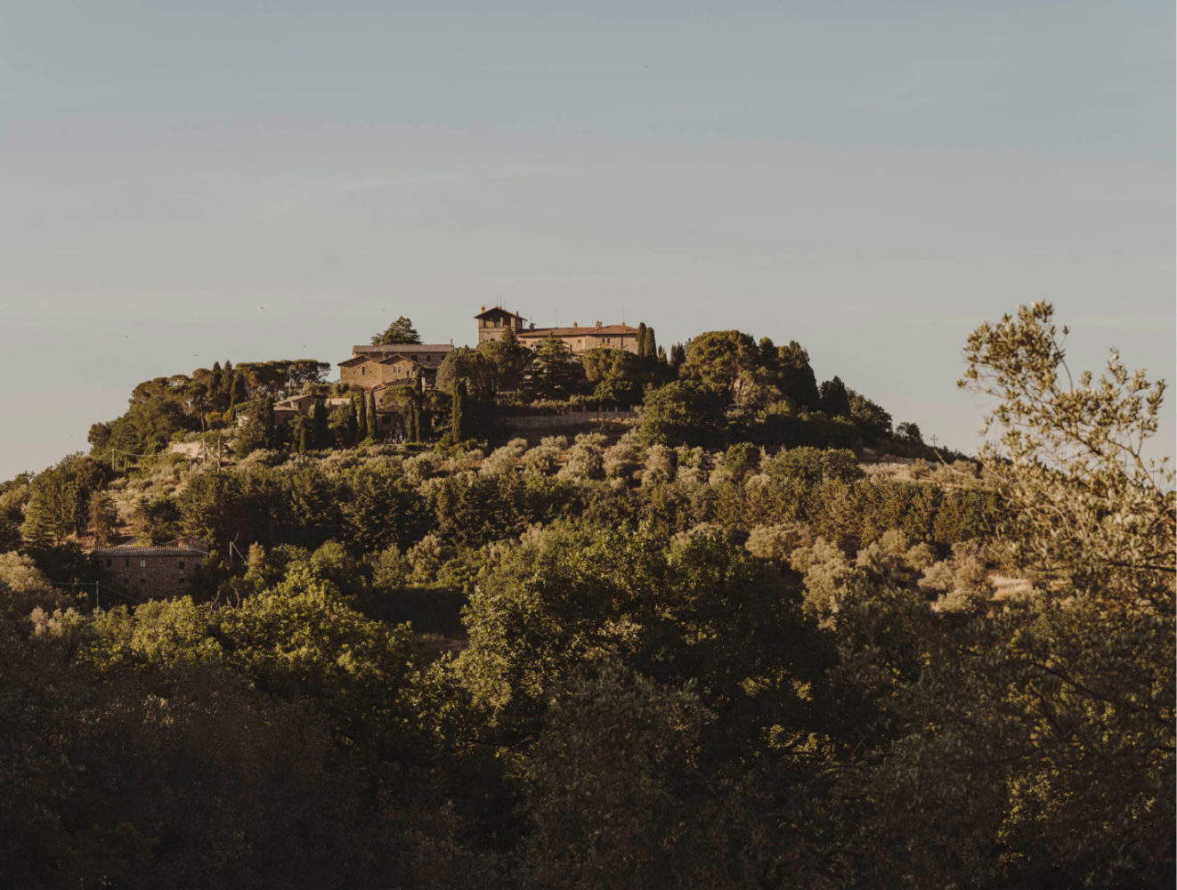 Il Castello di Monte Vibiano Vecchio. Foto: Cantina Monte Vibiano Il Castello di Monte Vibiano Vecchio. Foto: Cantina Monte Vibiano
