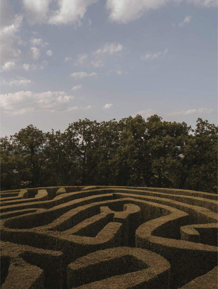Il labirinto. Foto: Cantina Monte Vibiano Il labirinto. Foto: Cantina Monte Vibiano
