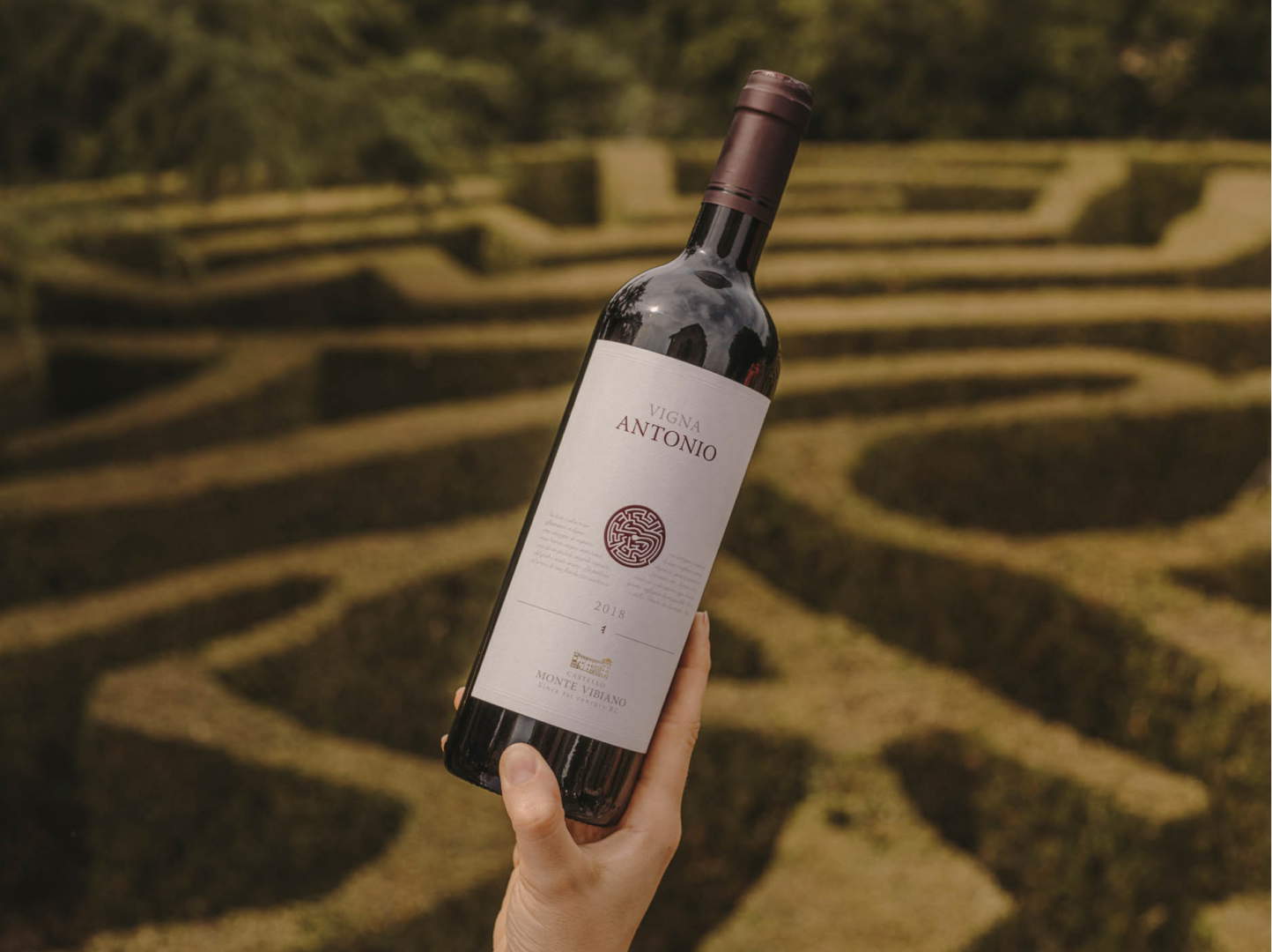 Il vino Vigna Antonio col labirinto sull'etichetta Il vino Vigna Antonio col labirinto sull'etichetta