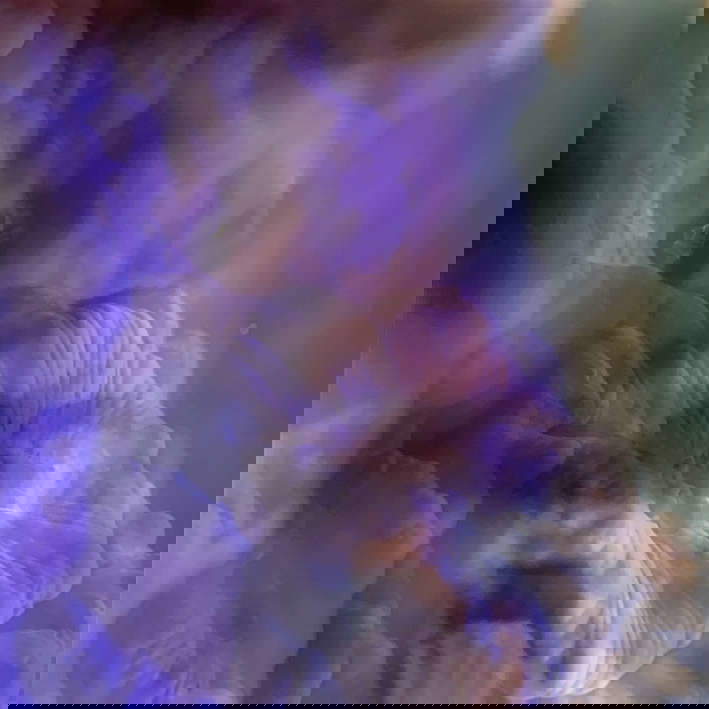 Charlotte Charbonnel, Ecrans Liquides 1 (2023; photographic print on backlit Plexiglas plate, 66 x 60 x 3 cm, 3 edition 1:3) Charlotte Charbonnel, Ecrans Liquides 1 (2023; photographic print on backlit Plexiglas plate, 66 x 60 x 3 cm, 3 edition 1:3)