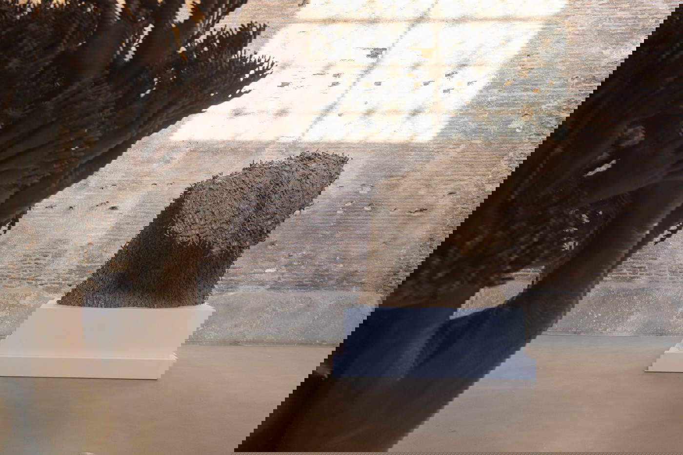 Allestimenti