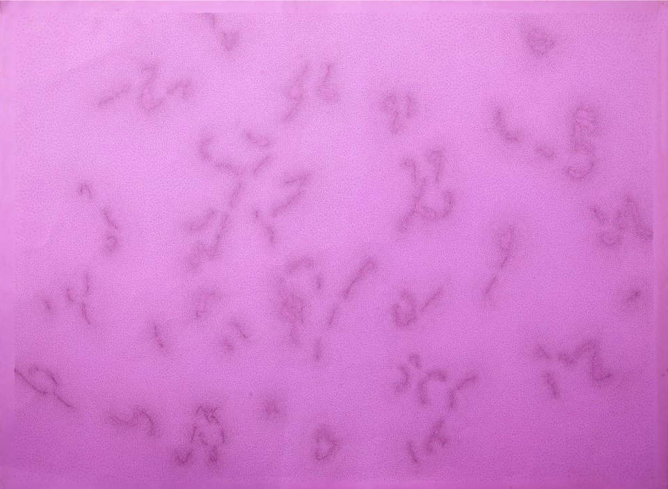 Dadamaino, Constellation (1984; ink on paper on synthetic canvas, 70 x 94 cm; Private collection) Dadamaino, Constellation (1984; ink on paper on synthetic canvas, 70 x 94 cm; Private collection)