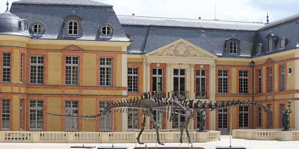 El dinosaurio más grande jamás subastado en Francia