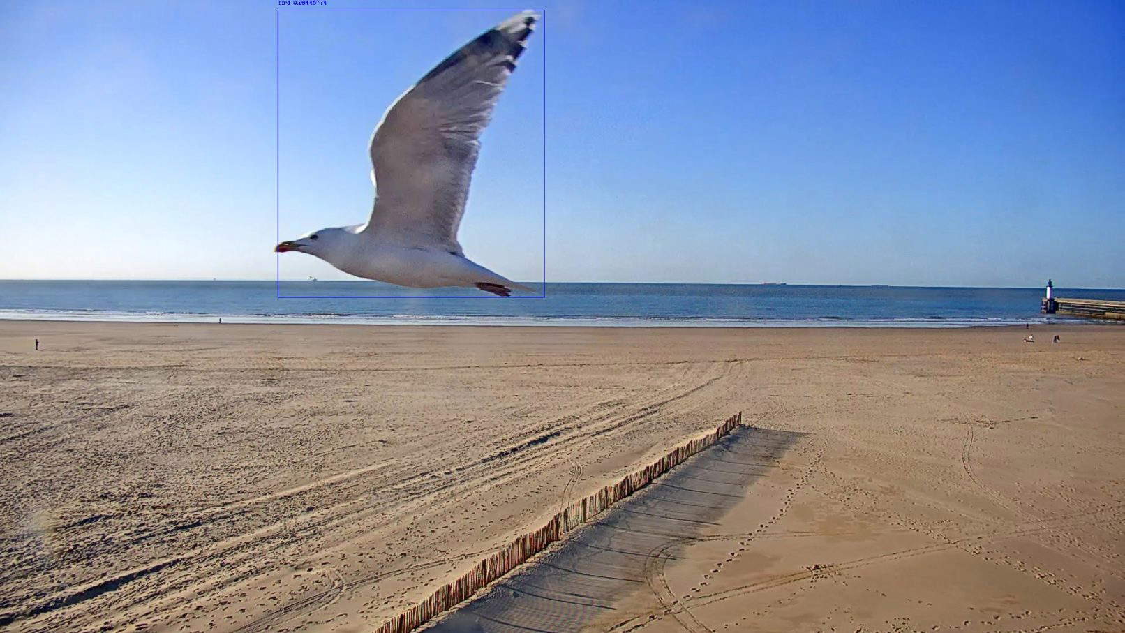 Dries Depoorter y Bieke Depoorter, Aves fronterizas (2022) Dries Depoorter y Bieke Depoorter, Aves fronterizas (2022)