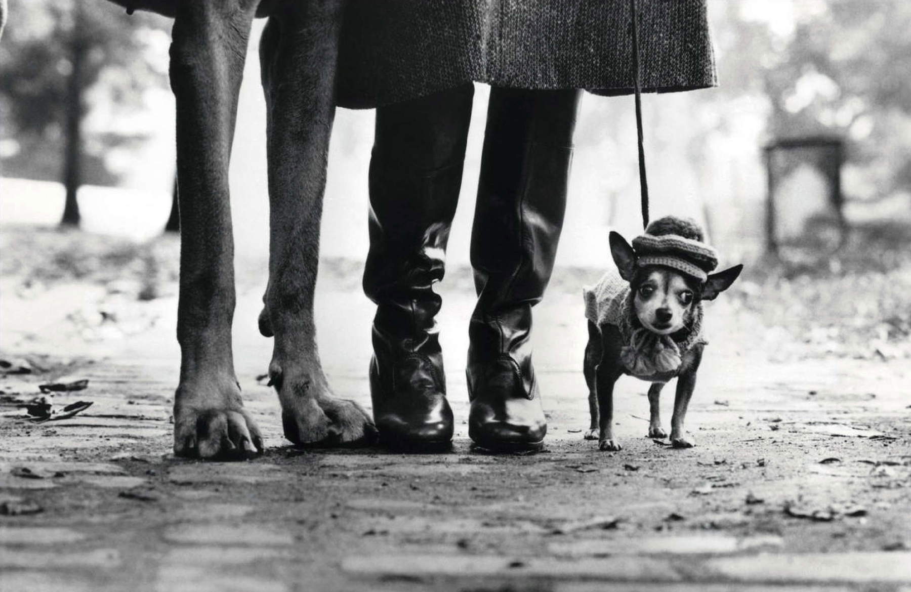 Pisa rinde homenaje al genio fotográfico de Elliott Erwitt a través de 80 instantáneas que captan el siglo XX