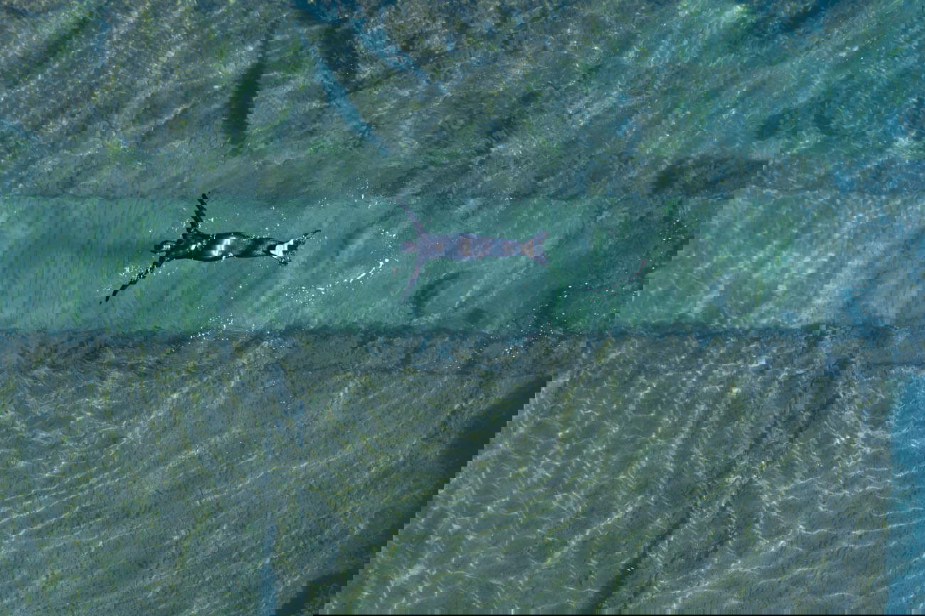 Emilija Škarnulytė, Sunken Cities (2021; video HD, 5’) © Emilija Škarnulytė