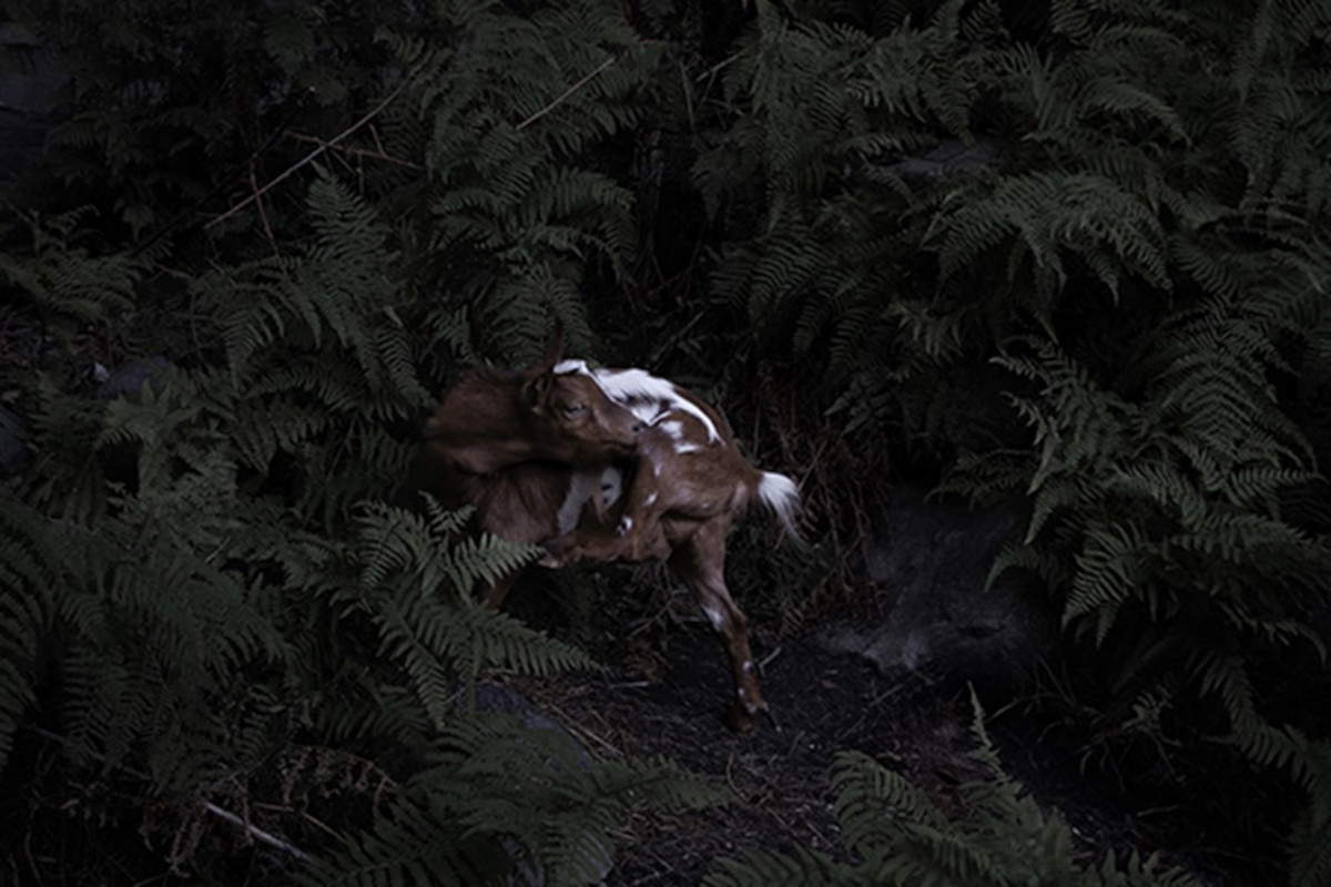 Sophie-Anne Herin, Untitled (2022; fine art Giclée print, 50 x 70 cm)