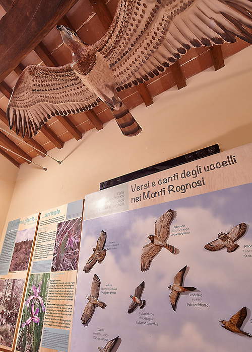 The Nature Factory The Nature Factory