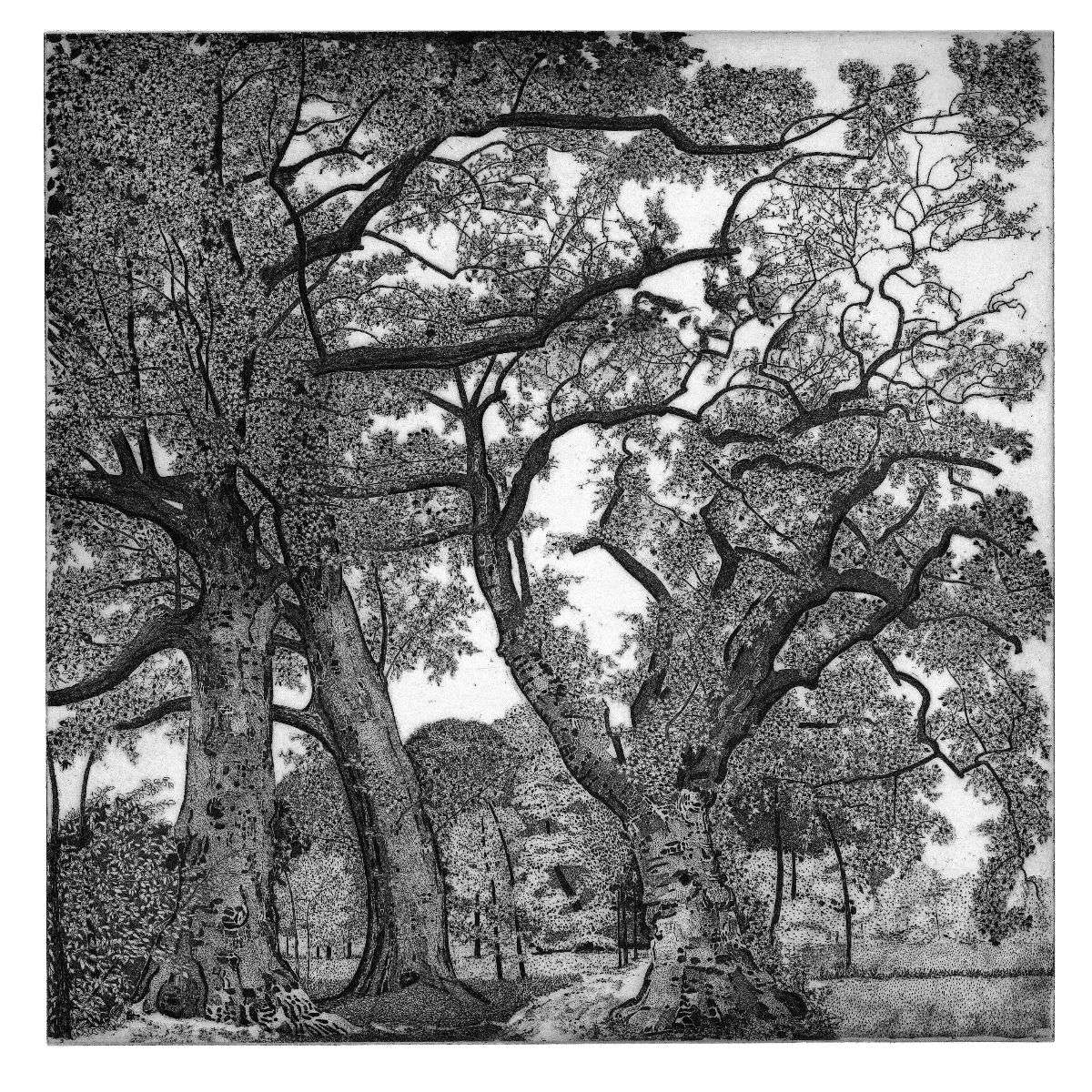 Federica Galli, <em>Parco di Racconigi</em> (1994) Federica Galli, Racconigi Park (1994)