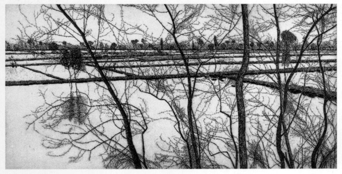 Federica Galli, <em>Piemonte</em> (1987) Federica Galli, Piedmont (1987)