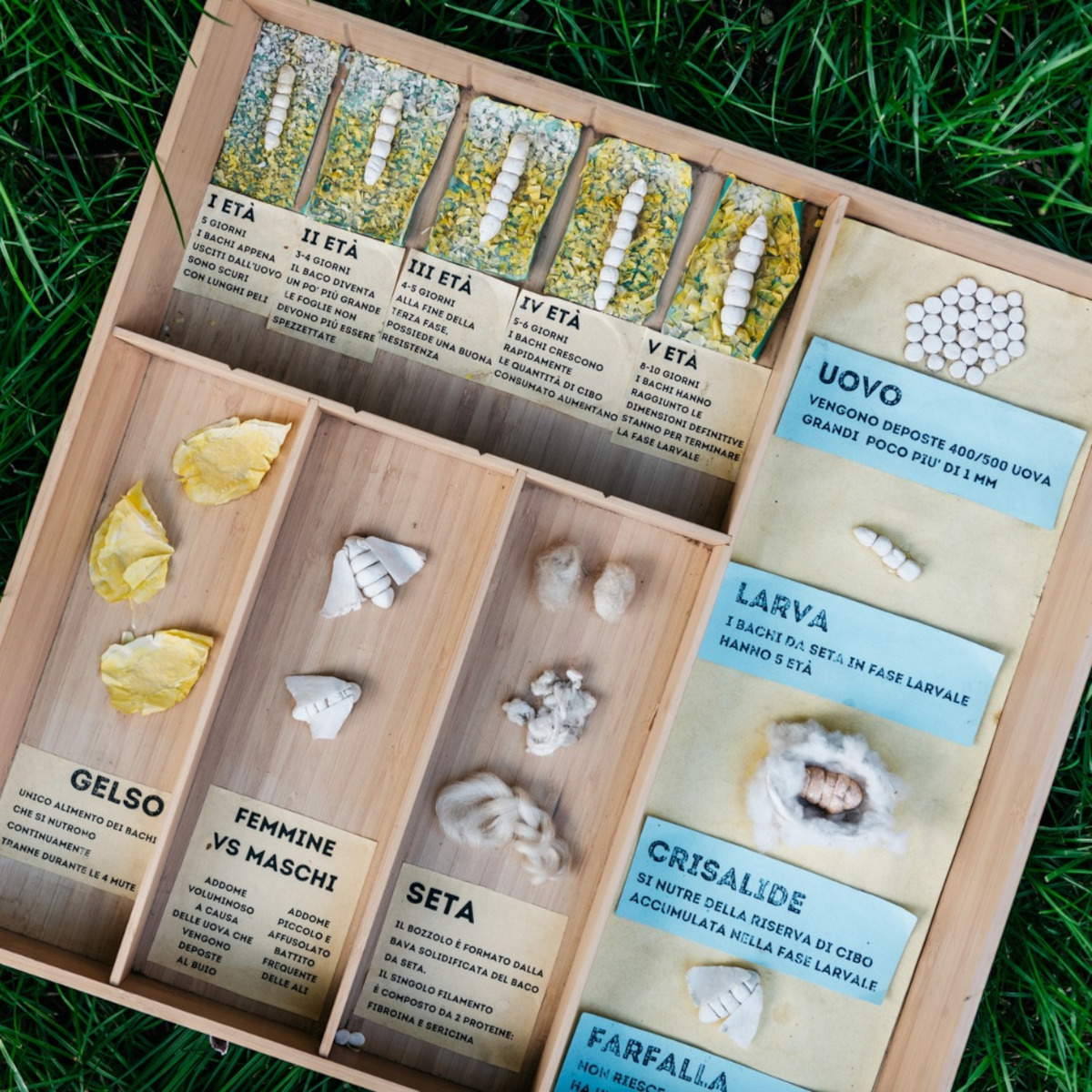 Fili di Seta. Visioni e suggestioni di Paolo Aldi. Foto di Visit Rovereto.